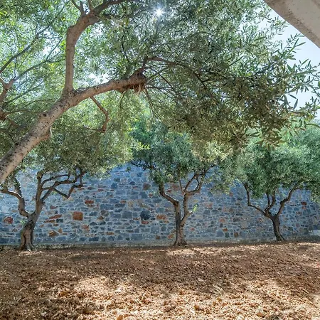 Semiramis Village 호텔