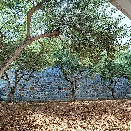 Hotel Semiramis Village Hersonissos (Crete)