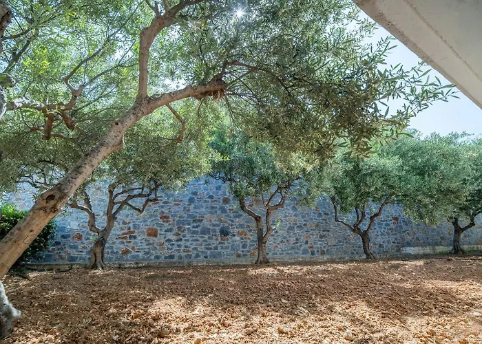 Semiramis Village Hotel